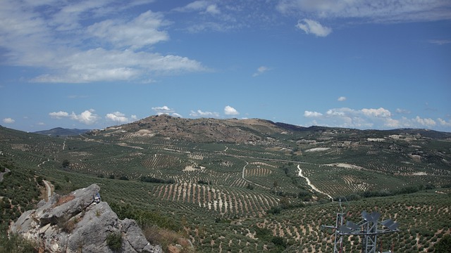 Free Spain Andalusia photo and picture