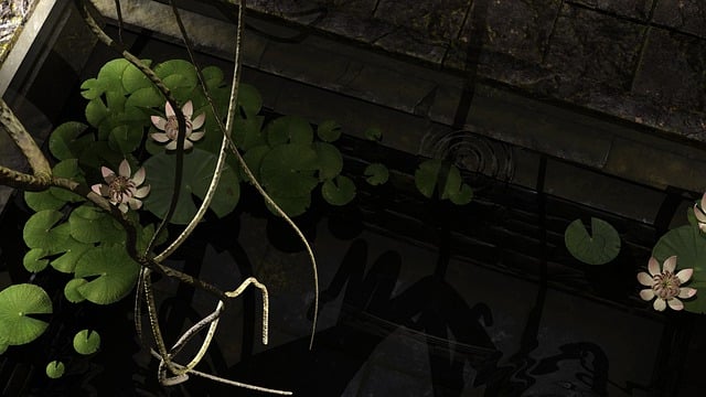 Free temple pool lotus illustration