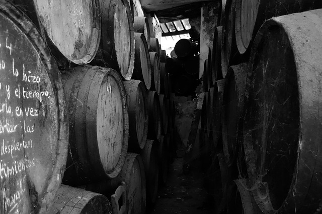 Free Winery Doña Mencía photo and picture
