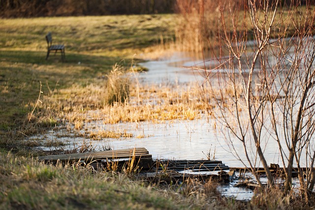 Free Water Nature photo and picture
