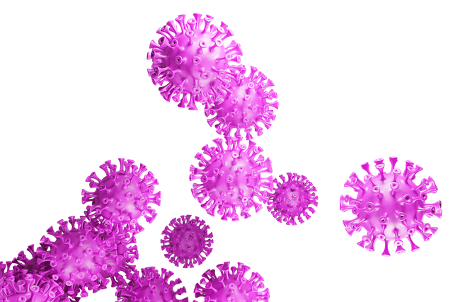 Free covid-19 coronavirus corona illustration