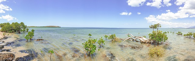 Natur, Landskab, Panoramiske, Hav Strand