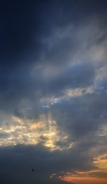 Free Morning Sunrise photo and picture