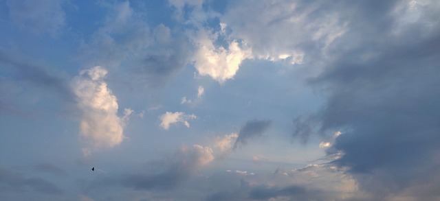 Free Morning Sunrise photo and picture