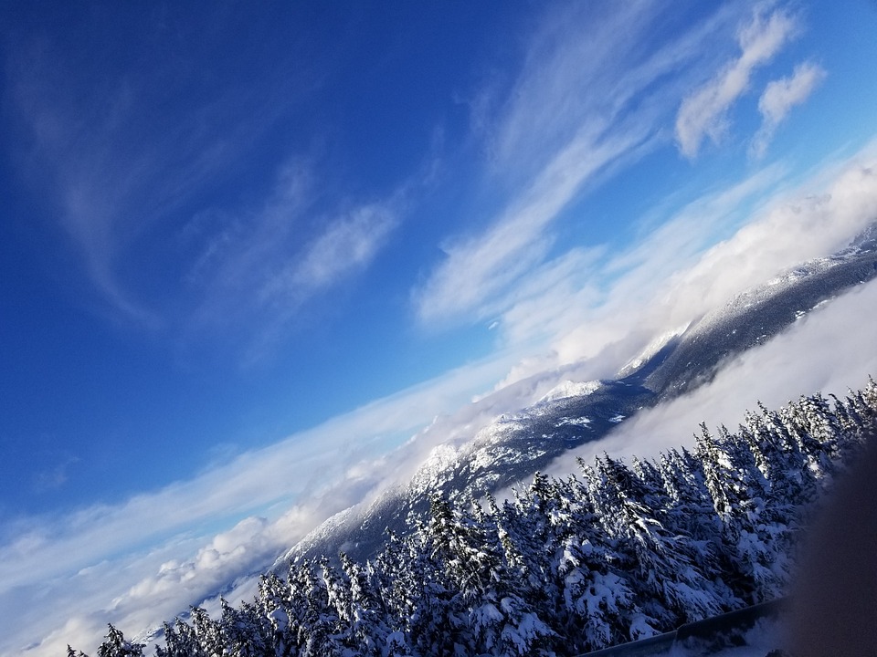 冬天 雪 寒冷的 - Pixabay上的免费照片 - Pixabay