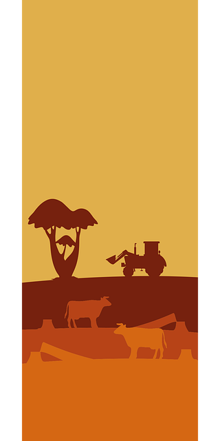 Deforestación, Clima, Medio Ambiente