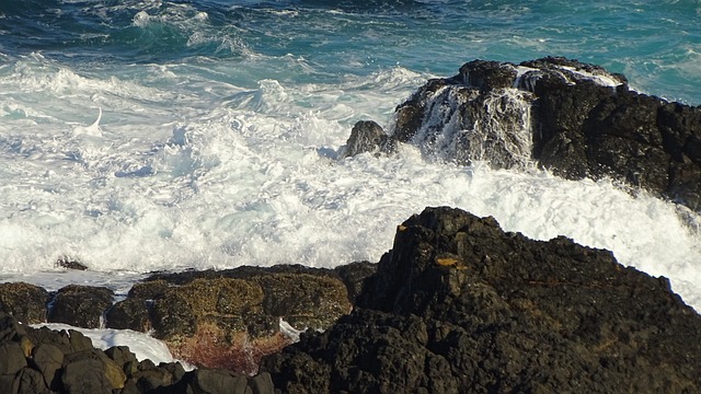 Free Ocean Waves photo and picture