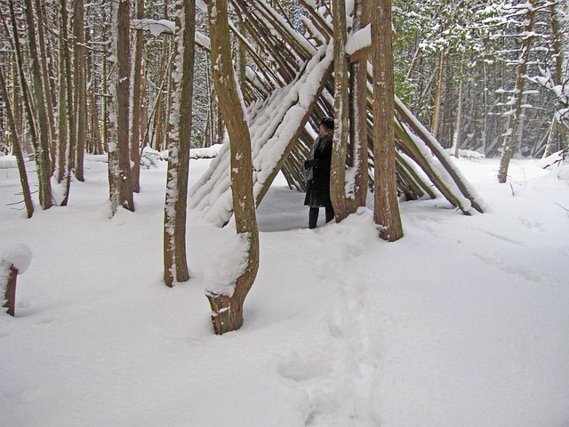 Winter, Woud, Fort, Mackinac Island