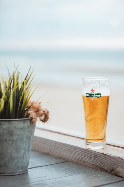 Free Beer Drink photo and picture