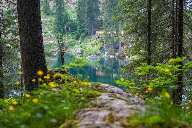 Download free HD stock image of Italy Karersee Free Italy Karersee photo and picture