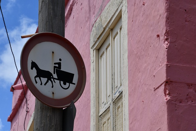 1,000+ Free Ban On Driving & Ban Images - Pixabay