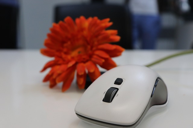 Free Computer Mouse Wireless Mouse photo and picture
