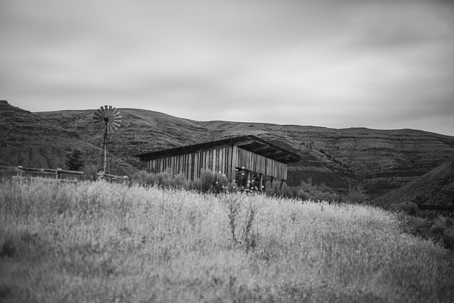 Free Black And White Farm photo and picture