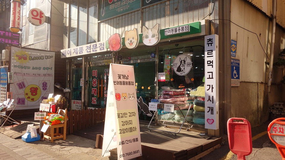 South Korea Pet Shop Free photo on Pixabay