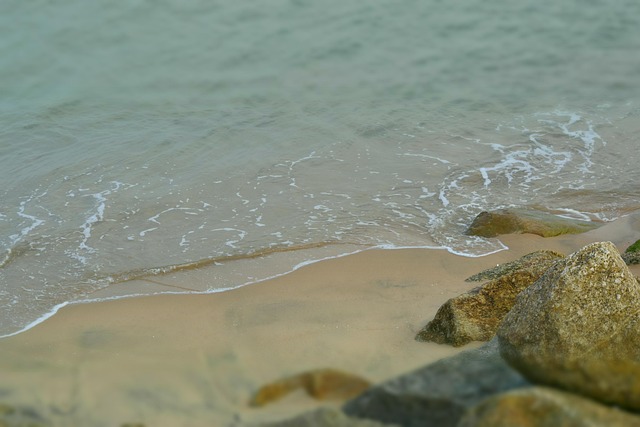 Free Waterside Beach photo and picture