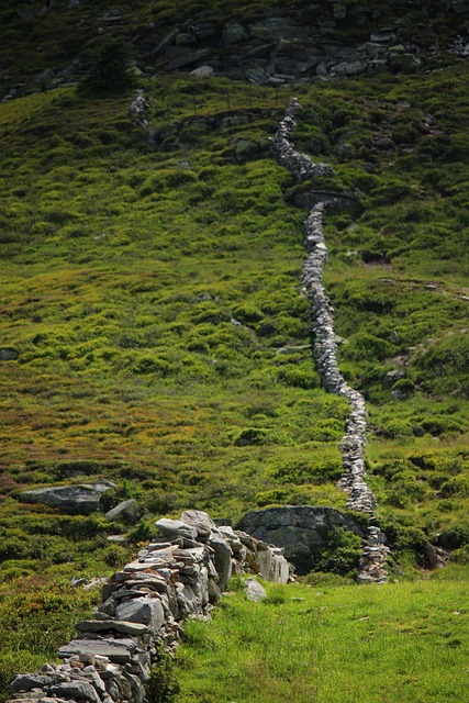 Landschaft, Mauer, Natur, Historisch