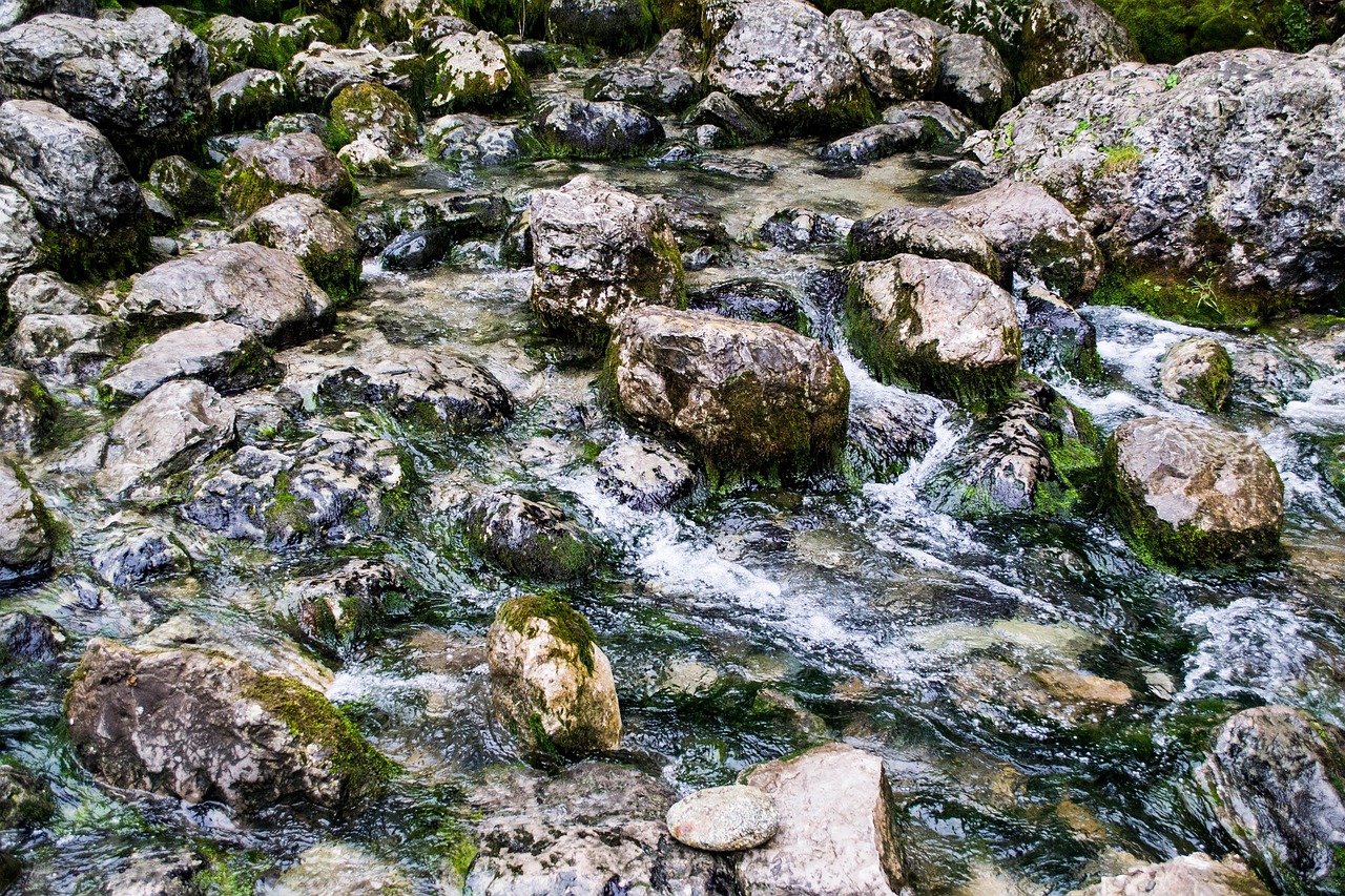 돌 물 개울 - Pixabay의 무료 사진 - Pixabay
