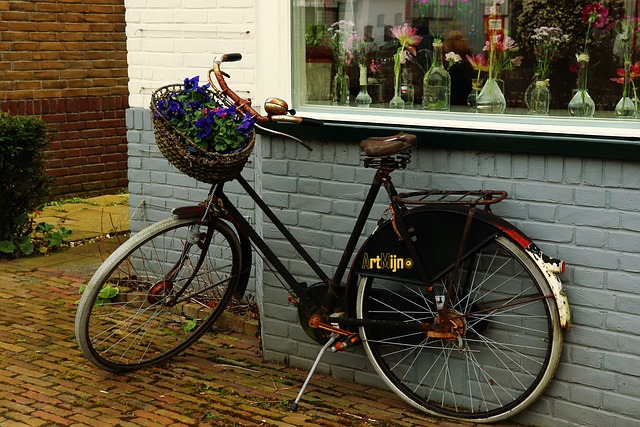 Free Bicycle Flowers photo and picture
