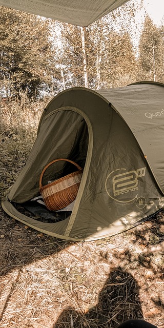 Zelt, Camping, Die Natur, Korb, Sommer