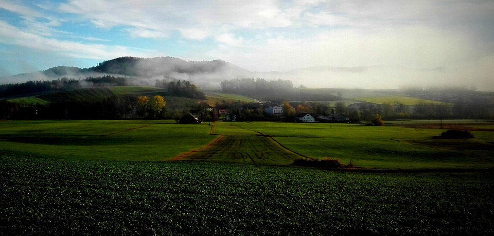 landscape-4966351_960_720.jpg