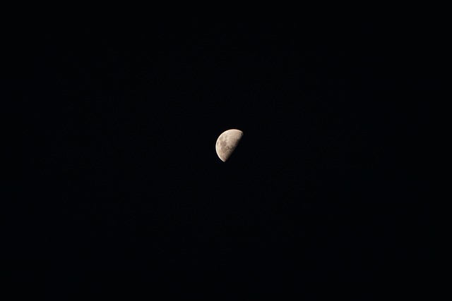 Free Moon Night photo and picture