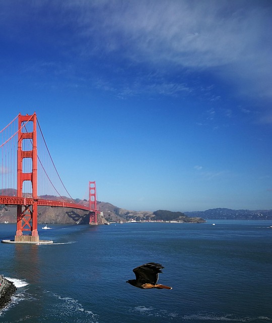 Free Golden Gate Bridge photo and picture