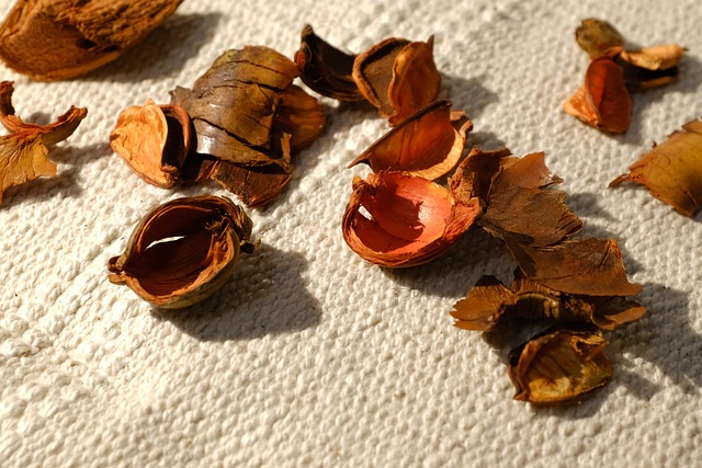 Free Fabric Leaves photo and picture