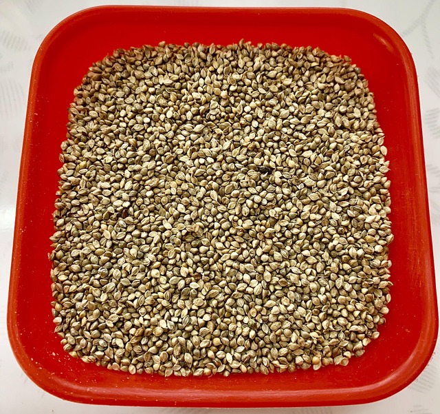 Barnyard Millet Seeds Health Day Free photo on Pixabay Pixabay