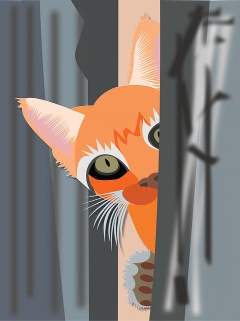 Free Cat Hide illustration and picture