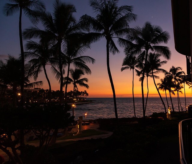 Free Hawaii Free Wallpaper photo and picture