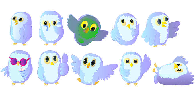 Free Owl Owls vector and picture