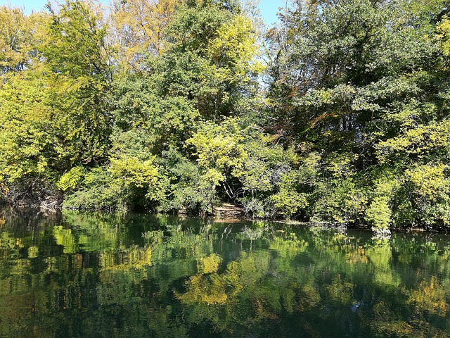 Free Dew Pour Rheinaue photo and picture