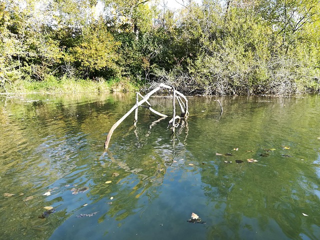 Free Dew Pour Rheinauen photo and picture