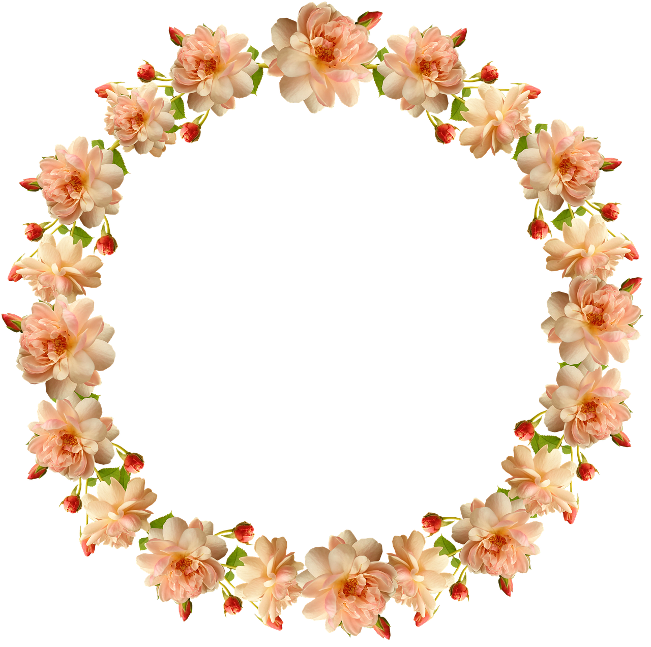 Download Frame Border Wreath Royalty Free Stock Illustration Image download-frame-border-wreath-royalty-free-stock-illustration-image