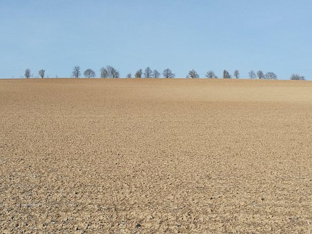 Free Landscape Trees photo and picture