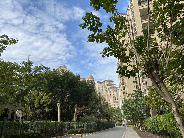 Cidade, Comunidade, Caminho