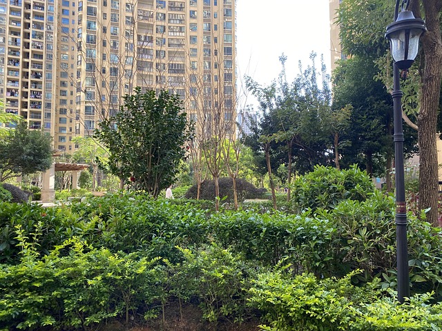 Cidade, Comunidade, Floresta