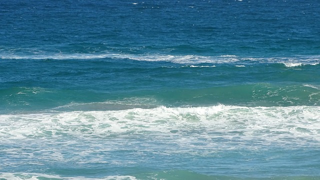 Free Ocean Waves photo and picture