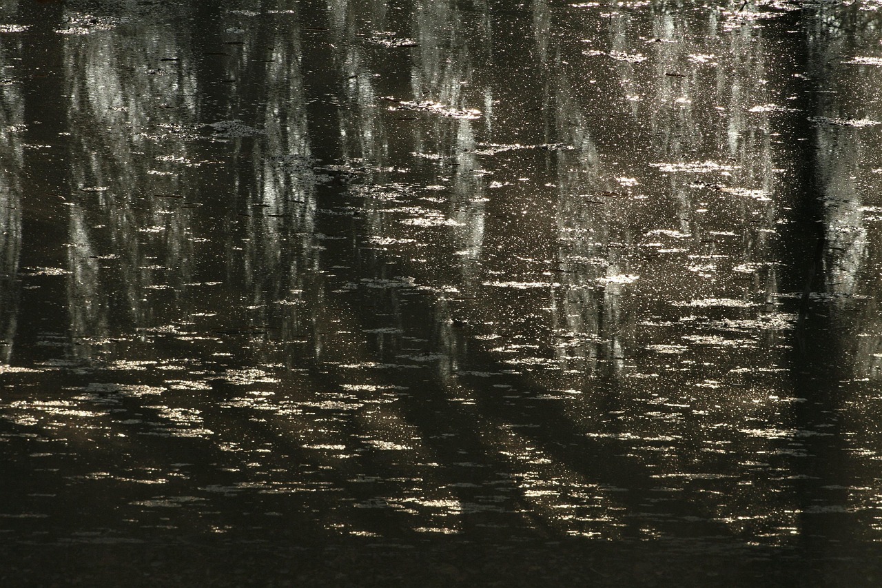 Reflection Water The Needle - Free photo on Pixabay - Pixabay
