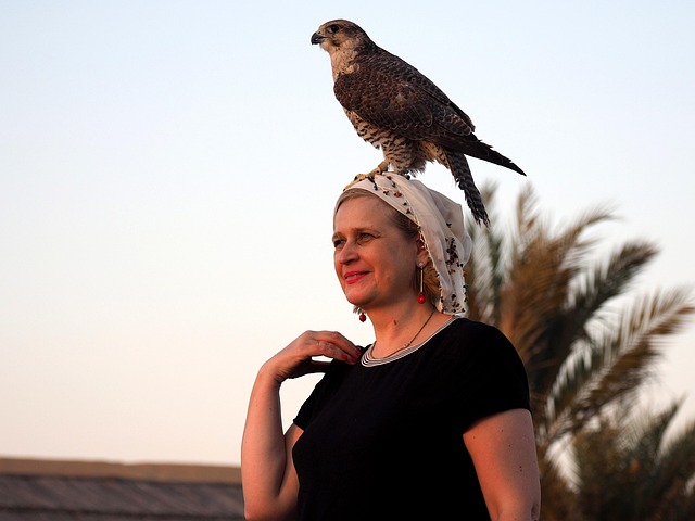 Free Travel Dubai photo and picture