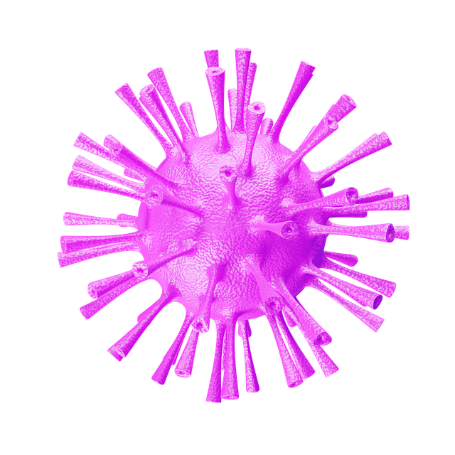 Free covid-19 coronavirus corona illustration
