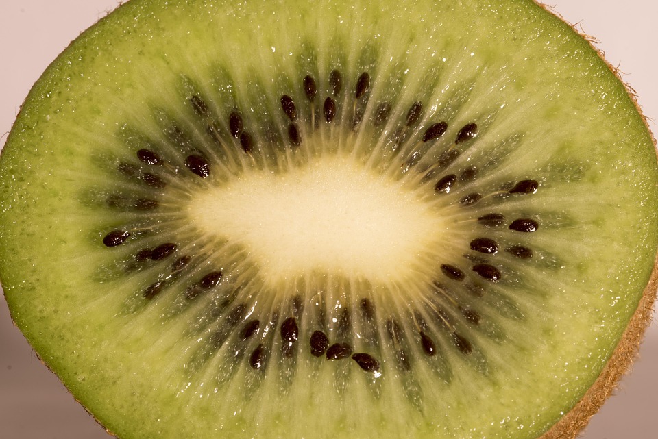Kiwi Fruit Meal Free photo on Pixabay Pixabay