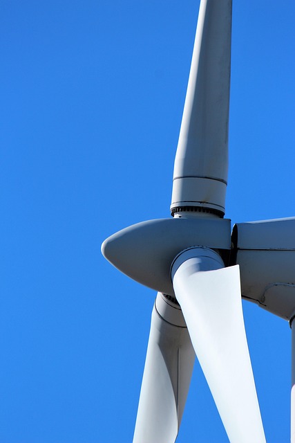 Free Wind Mill Mill photo and picture