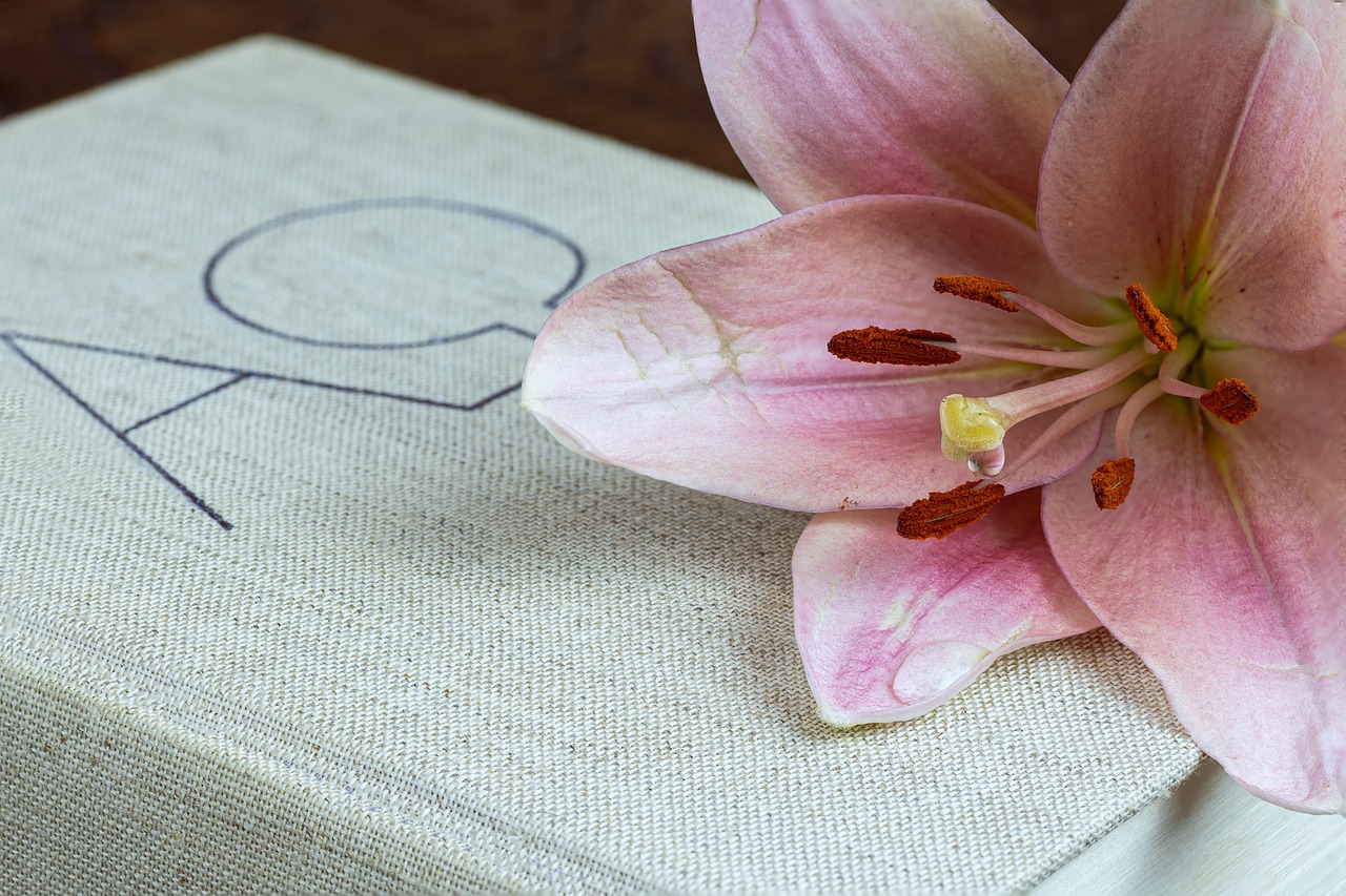 Lily Bible Drops Free photo on Pixabay Pixabay