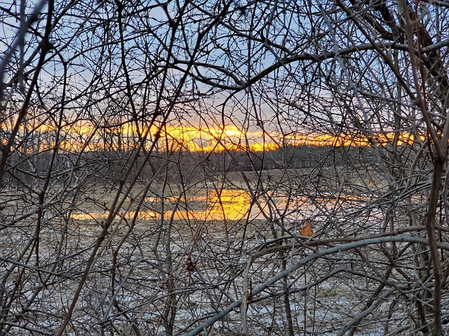 Free Beauty Behind Sunset photo and picture