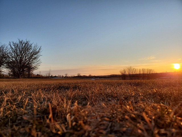 Free Sunset Nature photo and picture