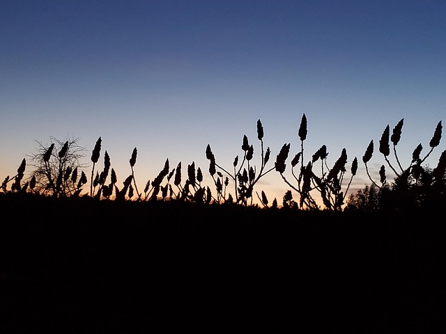 Free Sunset Behind Blue Sky photo and picture