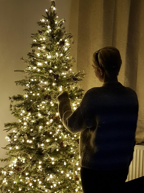 Free Christmas Christmas Tree photo and picture