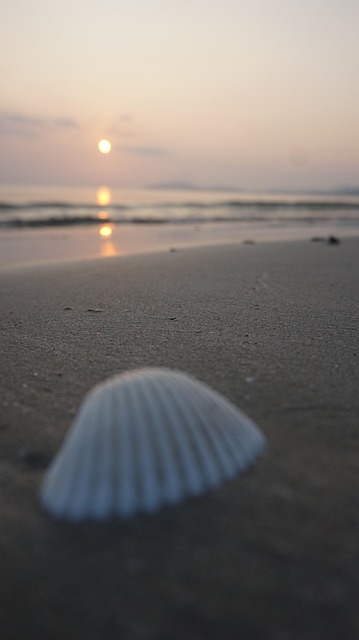 Free Sunset The Sea photo and picture