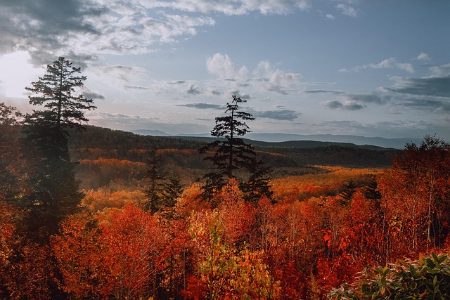 Free Autumn Red photo and picture